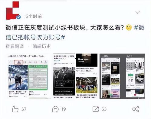 小绿爆料完整视频在线观看,揭秘事件真相,带你一探究竟 第1张 小绿爆料完整视频在线观看,揭秘事件真相,带你一探究竟 第1张